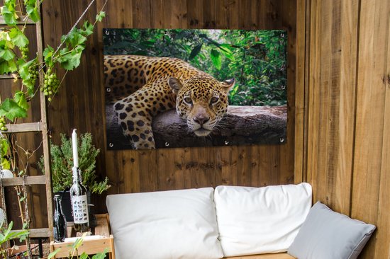 Jaguar repose de jardin affiche en vrac 120x80 cm - Toile de jardin / Toile d'extérieur / Peintures pour l'extérieur (décoration de jardin)