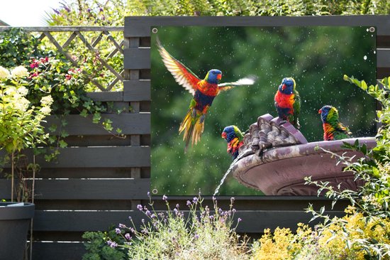 Affiche de jardin Fontaine - Vogel - Water - 120x90 cm