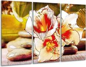 Peinture sur toile Fleur | Blanc, rouge, jaune | 120x80cm 3 Liège