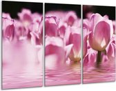 GroepArt - Schilderij -  Tulpen - Paars, Wit - 120x80cm 3Luik - 6000+ Schilderijen 0p Canvas Art Collectie