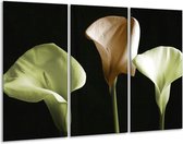 GroepArt - Schilderij -  Bloem - Groen, Bruin, Zwart - 120x80cm 3Luik - 6000+ Schilderijen 0p Canvas Art Collectie