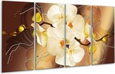 GroepArt - Glasschilderij - Orchidee - Bruin, Crème - 160x80cm 4Luik - Foto Op Glas - Geen Acrylglas Schilderij - 6000+ Glasschilderijen Collectie - Wanddecoratie