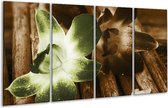 Peinture sur verre fleur | Vert, marron, blanc | 160x80cm 4 Liège | Tirage photo sur verre |  F002567
