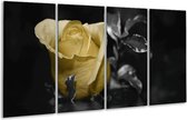 Glasschilderij Roos | Geel, Grijs, Zwart | 160x80cm 4Luik | Foto print op Glas |  F003632