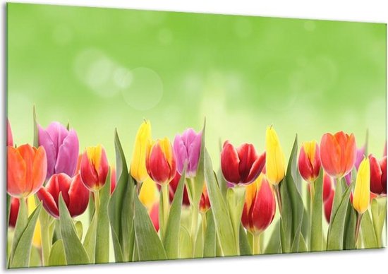 Schilderij Op Canvas Tulpen, Bloemen - Groen, Rood, Geel - 120x70cm 1Luik -  Foto Op... | bol.com