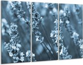 GroepArt - Schilderij -  Bloemen, Lente - Blauw, Grijs - 120x80cm 3Luik - 6000+ Schilderijen 0p Canvas Art Collectie