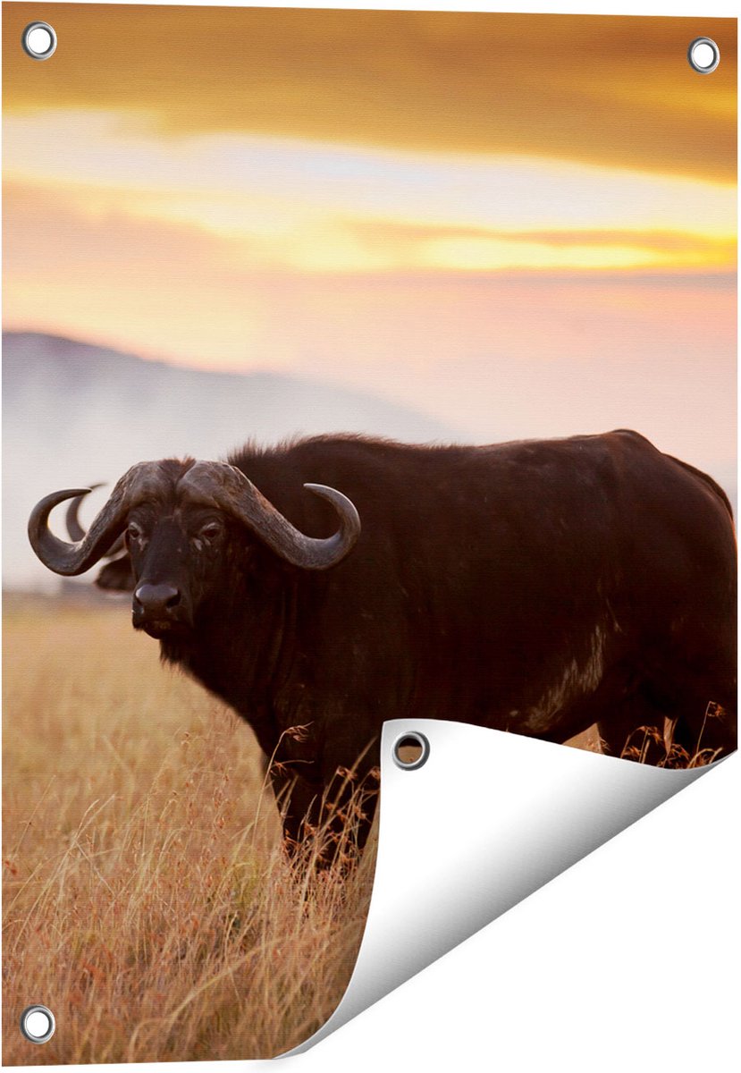 Gards Tuinposter Buffel in het Gras - 40x50 cm - Tuindoek - Tuindecoratie - Wanddecoratie buiten - Tuinschilderij Multikleur