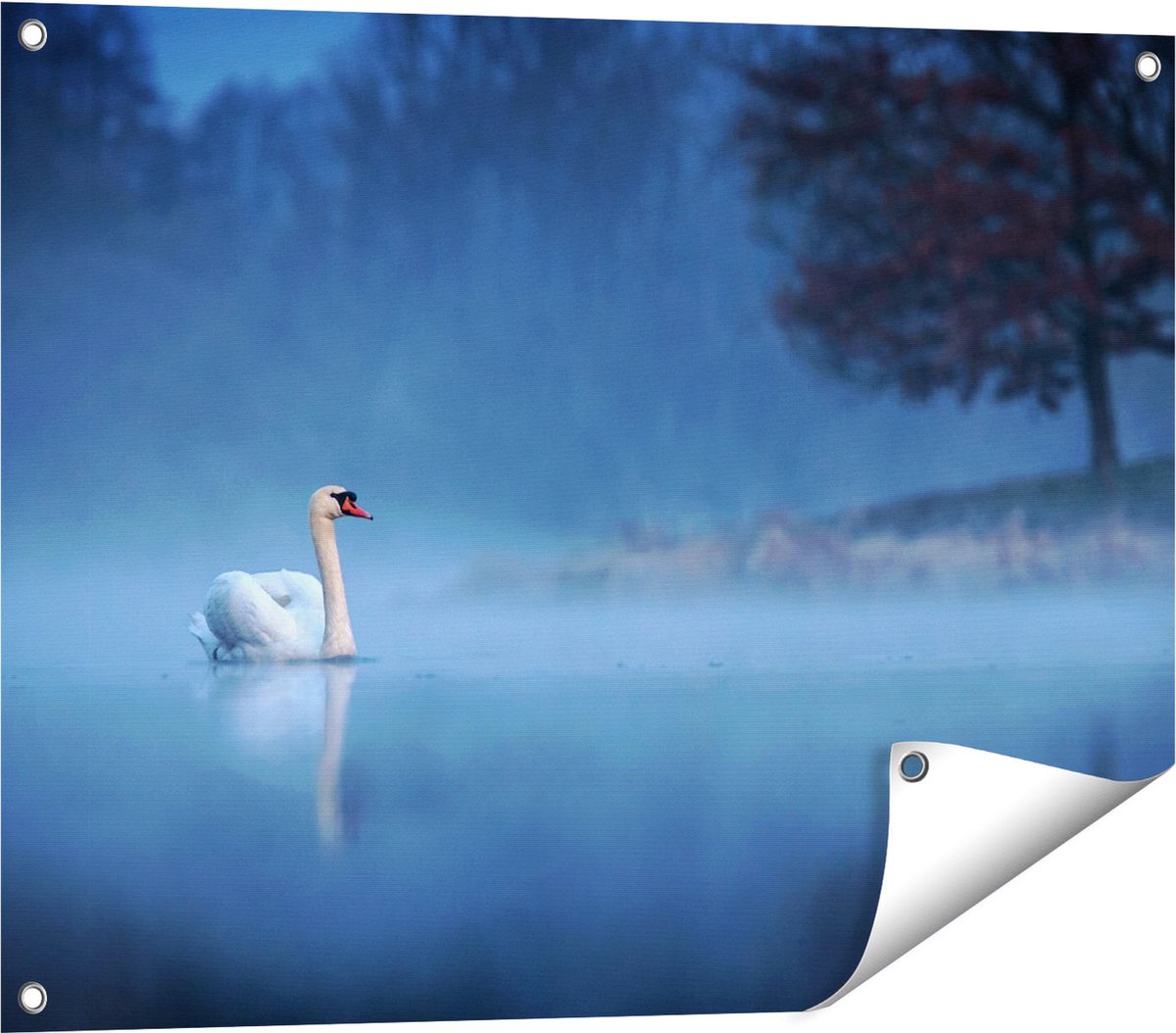 Gards Tuinposter Zwaan op het Water tussen de Mist - 80x60 cm - Tuindoek - Tuindecoratie - Wanddecoratie buiten - Tuinschilderij Multikleur