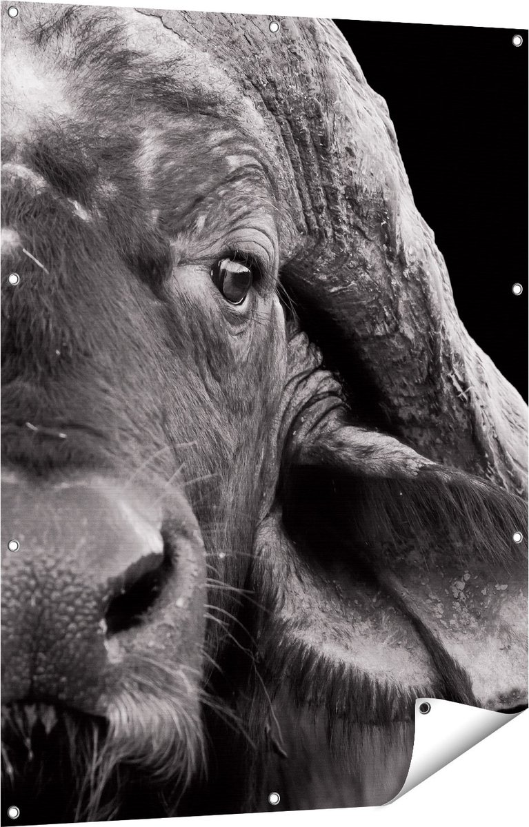 Gards Tuinposter Buffel - Buffelkop - Zwart Wit - 90x120 cm - Tuindoek - Tuindecoratie - Wanddecoratie buiten - Tuinschilderij Multikleur