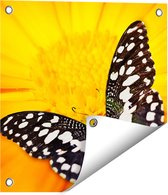 Gards Tuinposter Vlinder op een Oranje Bloem - 40x40 cm - Tuindoek - Tuindecoratie - Wanddecoratie buiten - Tuinschilderij