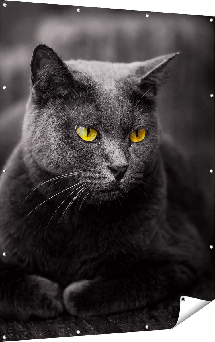Gards Tuinposter Zwarte Kat met Gele Ogen - 120x160 cm - Tuindoek - Tuindecoratie - Wanddecoratie buiten - Tuinschilderij Multikleur