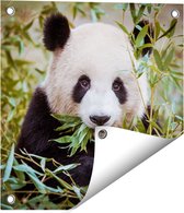 Gards Tuinposter Panda Eet Planten - 40x40 cm - Tuindoek - Tuindecoratie - Wanddecoratie buiten - Tuinschilderij
