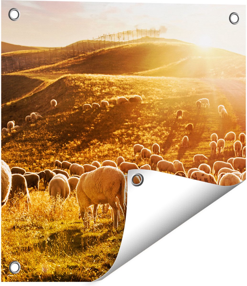 Gards Tuinposter Schapen in de Heuvels bij Zonsondergang - 40x40 cm - Tuindoek - Tuindecoratie - Wanddecoratie buiten - Tuinschilderij Multikleur