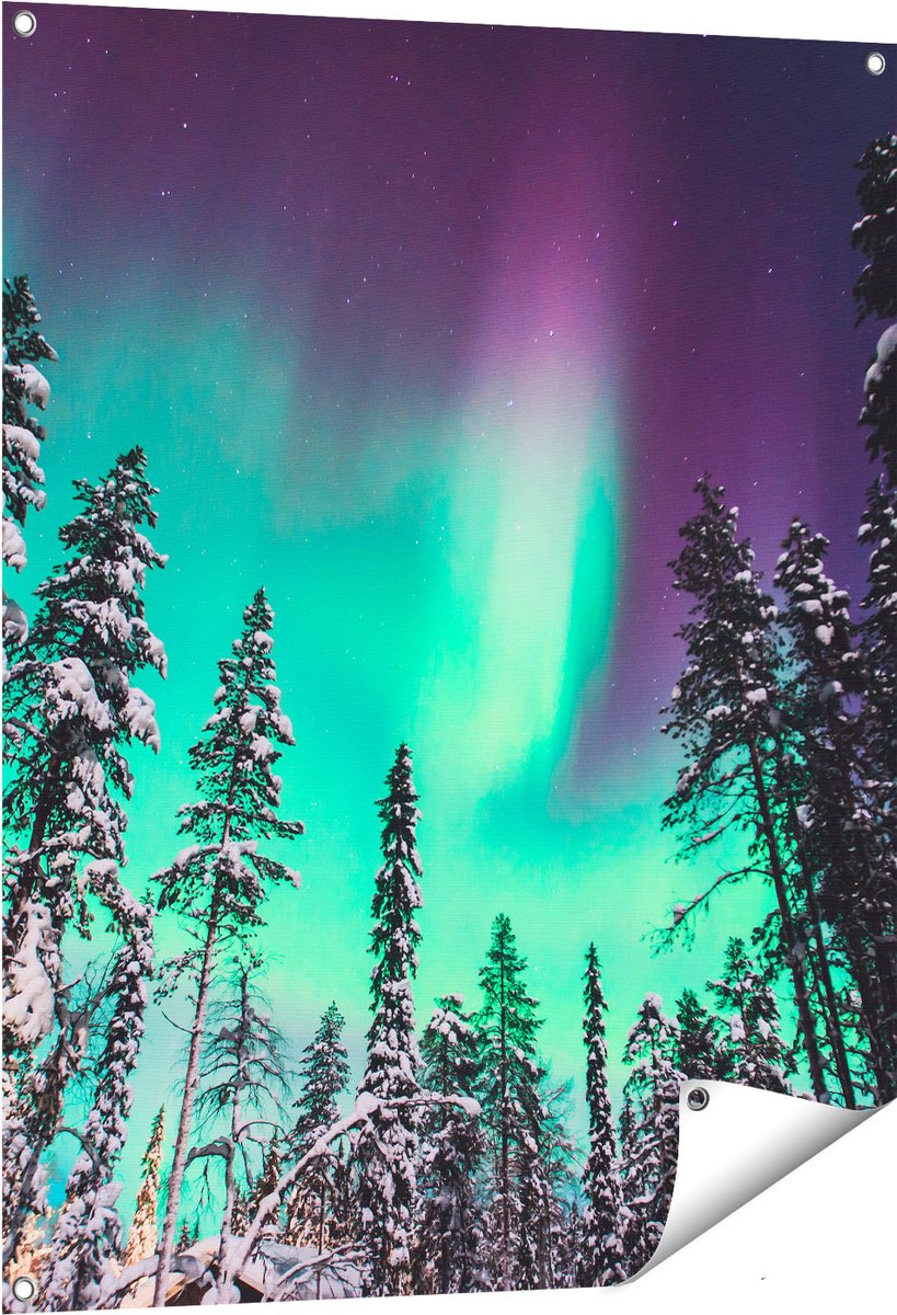 Gards Tuinposter Noorderlicht in de Bossen van Noorwegen - 80x100 cm - Tuindoek - Tuindecoratie - Wanddecoratie buiten - Tuinschilderij Multikleur