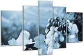 Glasschilderij Druiven, Keuken - Blauw, Grijs - 170x100cm 5Luik - Foto Op Glas - Geen Acrylglas Schilderij - 6000+ Glasschilderijen Collectie - Wanddecoratie