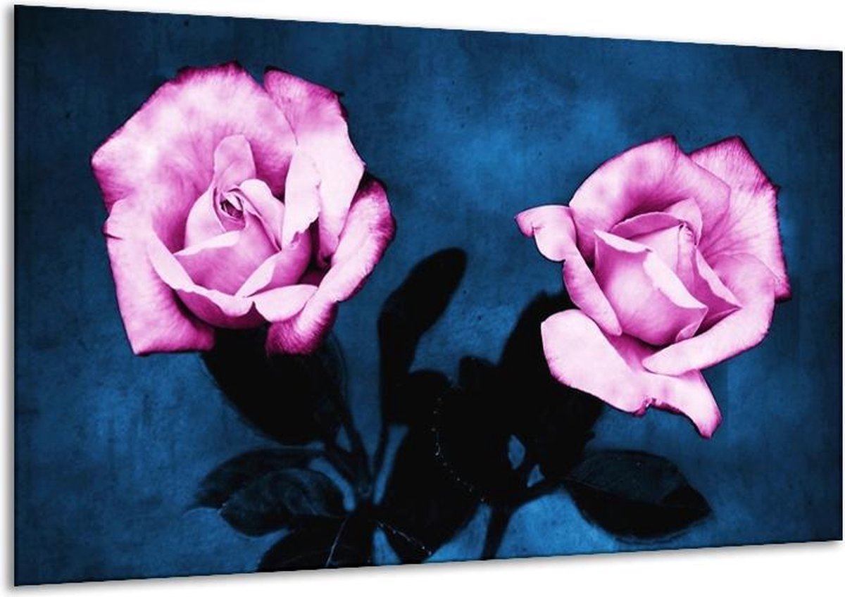 Glasschilderij Roos - Roze, Blauw, Zwart - 120x70cm 1Luik - Foto Op Glas - Geen Acrylglas Schilderij - GroepArt 6000+ Glasschilderijen Art Collectie - Wanddecoratie - Woonkamer - Slaapkamer op Prijzenvolger.com