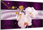 Glasschilderij Orchidee - Paars, Wit, Grijs - 120x70cm 1Luik - Foto Op Glas - Geen Acrylglas Schilderij - GroepArt 6000+ Glasschilderijen Art Collectie - Wanddecoratie - Woonkamer - Slaapkamer