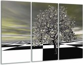 Glasschilderij Bos - Grijs, Zwart, Wit - 120x80cm 3Luik - Foto Op Glas - Geen Acrylglas Schilderij - GroepArt 6000+ Glas Art Collectie - Maatwerk Mogelijk