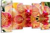 GroepArt - Canvas Schilderij - Orchidee - Geel, Rood, Wit - 150x80cm 5Luik- Groot Collectie Schilderijen Op Canvas En Wanddecoraties
