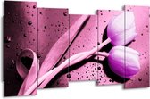 GroepArt - Canvas Schilderij - Tulp - Paars, Wit, Zwart - 150x80cm 5Luik- Groot Collectie Schilderijen Op Canvas En Wanddecoraties