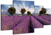 GroepArt - Schilderij -  Lavendel - Paars, Blauw, Wit - 160x90cm 4Luik - Schilderij Op Canvas - Foto Op Canvas