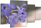 GroepArt - Schilderij -  Orchidee - Blauw, Wit, Grijs - 160x90cm 4Luik - Schilderij Op Canvas - Foto Op Canvas