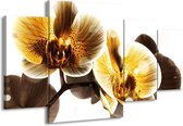 GroepArt - Schilderij -  Orchidee - Geel, Bruin, Wit - 160x90cm 4Luik - Schilderij Op Canvas - Foto Op Canvas