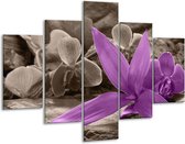 Glasschilderij -  Orchidee - Grijs, Paars - 100x70cm 5Luik - Geen Acrylglas Schilderij - GroepArt 6000+ Glasschilderijen Collectie - Wanddecoratie- Foto Op Glas
