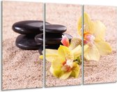 Glasschilderij Orchidee - Geel, Zwart, Wit - 120x80cm 3Luik - Foto Op Glas - Geen Acrylglas Schilderij - GroepArt 6000+ Glas Art Collectie - Maatwerk Mogelijk