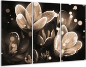 Glasschilderij Bloem - Grijs, Zwart - 120x80cm 3Luik - Foto Op Glas - Geen Acrylglas Schilderij - GroepArt 6000+ Glas Art Collectie - Maatwerk Mogelijk