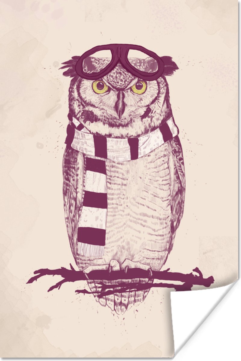 Poster Uil - Sjaar - Bril - Tak - 40x60 cm