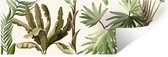 Stickers muraux - Film autocollant - Jungle - Palmier - Bananier - Enfants - Nature - Plantes - 90x30 cm - Film adhésif - Stickers muraux chambre enfant - Papier peint autocollant - Papier peint autocollant - Film autocollant