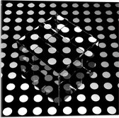 Acrylglas - Doorzichtige Kubus op Ondergrond van Witte Stippen op Zwarte Ondergrond - 50x50 cm Foto op Acrylglas (Wanddecoratie op Acrylaat)