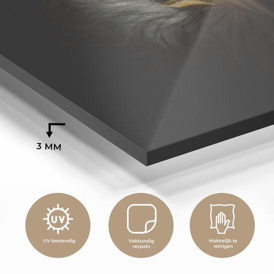 MuchoWow® Peinture sur verre 40x30 cm - Peinture sur verre acrylique - Vogel - Aigle - Rapaces - Oeil - Bec - Lumière - Photo sur verre - Peintures