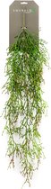 Emerald Hang Kunstplant Rhipsalis - L 90 cm