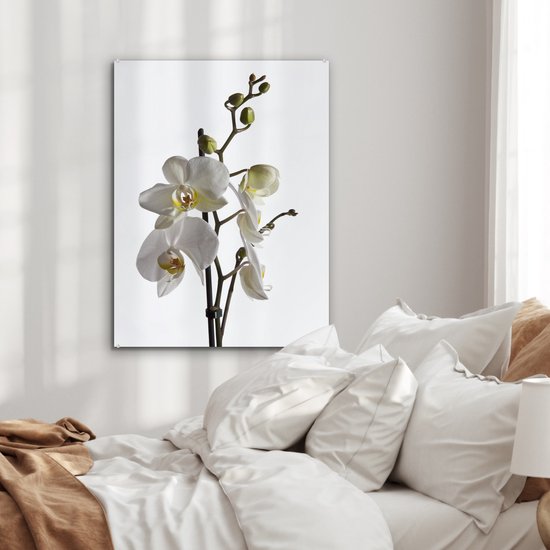 Peinture sur Verre - Orchidée Witte - 60x80 cm - Peintures sur Verre Peintures - Photo sur Glas