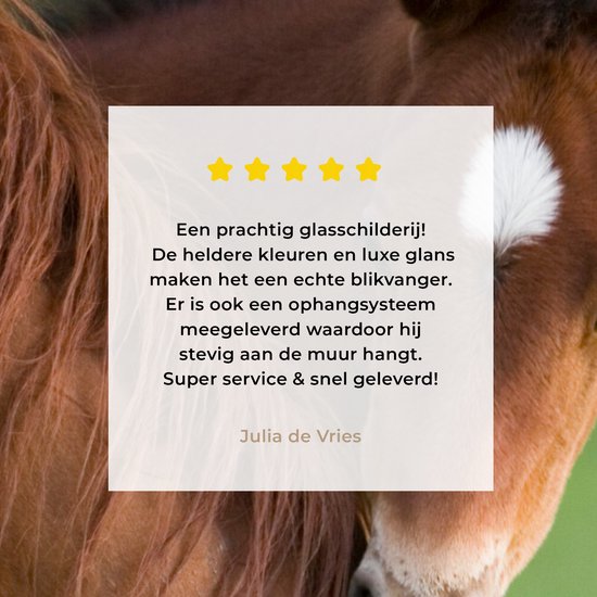 ® Glasschilderij 90x90 cm - Schilderij acrylglas - Paarden - Gras - Portret - Foto op glas - Muurdecoratie woonkamer - Wanddecoratie slaapkamer - Schilderijen