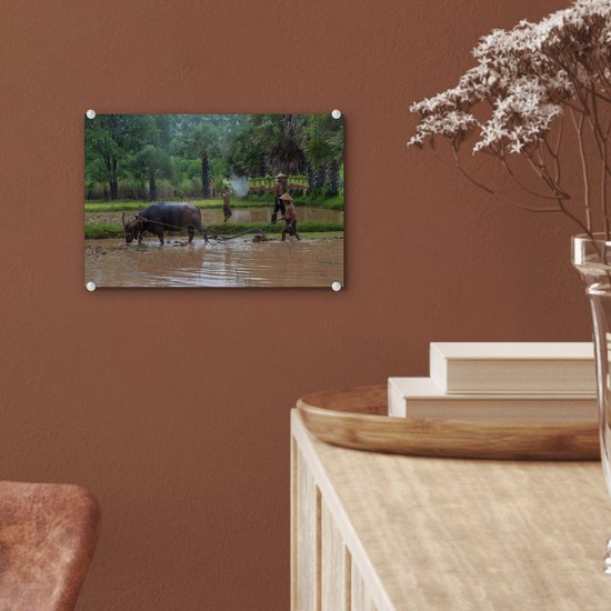 MuchoWow® Peinture sur verre 30x20 cm - Peinture sur verre acrylique - Un agriculteur asiatique laboure sa terre avec un bœuf - Photo sur verre - Peintures