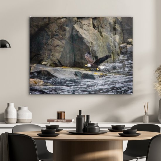 MuchoWow® Peinture sur verre 80x60 cm - Peinture sur verre acrylique - Pygargue à queue blanche près des rochers du Cap Breton - Photo sur verre - Peintures