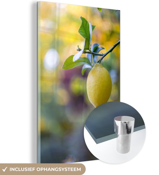 MuchoWow® Glasschilderij 20x30 cm - Schilderij acrylglas - close-up van een citroen aan een tak - Foto op glas - Schilderijen
