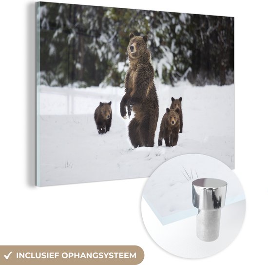 MuchoWow® Glasschilderij 30x20 cm - Schilderij acrylglas - Staande grizzly beer - Foto op glas - Schilderijen
