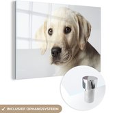 MuchoWow® Glasschilderij 120x80 cm - Schilderij acrylglas - Labrador puppy portret - Foto op glas - Schilderijen