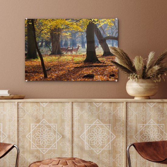 ® Glasschilderij 60x40 cm - Schilderij acrylglas - Herten in een bos in Denemarken - Foto op glas - Muurdecoratie woonkamer - Wanddecoratie slaapkamer - Schilderijen