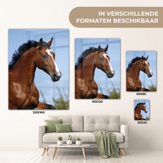 ® Glasschilderij 120x160 cm - Schilderij acrylglas - Paard - Natuur - Bruin - Foto op glas - Muurdecoratie woonkamer - Wanddecoratie slaapkamer - Schilderijen