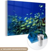 MuchoWow® Glasschilderij 120x80 cm - Schilderij acrylglas - Vis - School - Zee - Foto op glas - Schilderijen