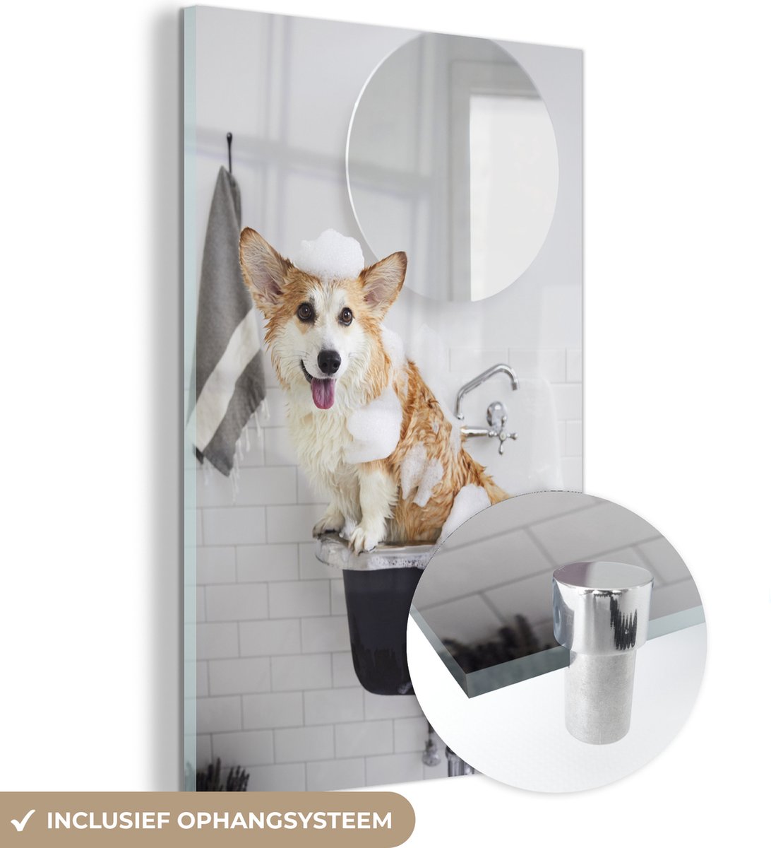 ® Glasschilderij 80x120 cm - Schilderij acrylglas - Hond - Wasbak - Spiegel - Foto op glas