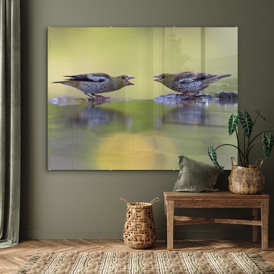 MuchoWow® Peinture sur verre 160x120 cm - Peinture sur verre acrylique - Bain d'oiseaux - Vogel - Water - Photo sur verre - Peintures