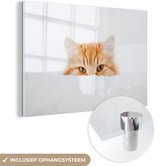 Portrait de chat rouge en Glas 60x40 cm - Tirage photo sur Glas (décoration murale plexiglas)
