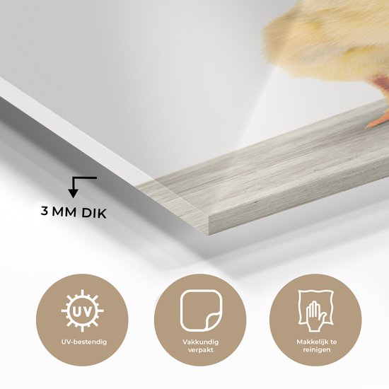 MuchoWow® Peinture sur verre 30x40 cm - Peinture sur verre acrylique - Poussin - Animaux - Garçons - Filles - Enfants - Photo sur verre - Peintures