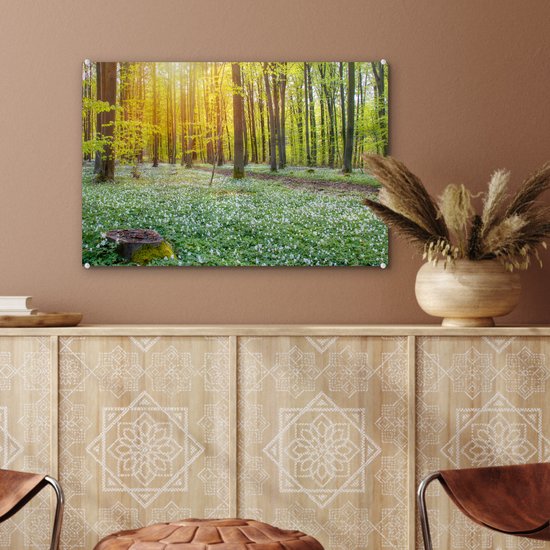 MuchoWow® Peinture sur verre 60x40 cm - Peinture acrylique sur verre - Forêt verte illuminée par des rayons de lumière - Photo sur verre - Peintures